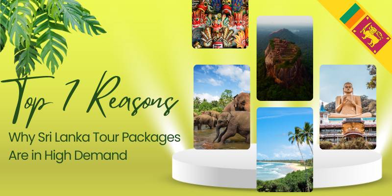 Top 7 Reasons Why Sri Lanka Tour Packages Are in High Demand