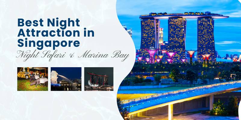 Best Night Attraction in Singapore Night Safari & Marina Bay