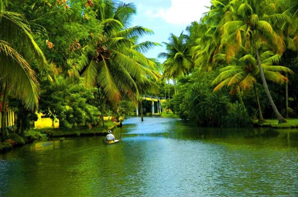 Kerala Tour Guide; Places to Visit, Things to Do, Hill Station, Hotels, Facts, and more 