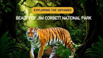 Exploring the Untamed Beauty of Jim Corbett National Park