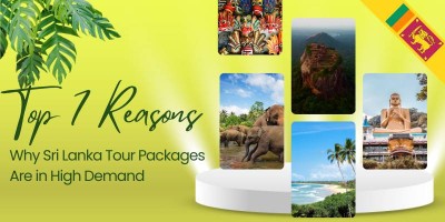 Top 7 Reasons Why Sri Lanka Tour Packages Are in High Demand