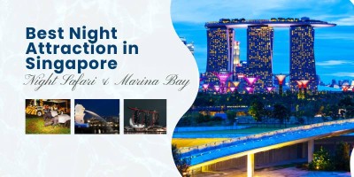 Best Night Attraction in Singapore Night Safari & Marina Bay