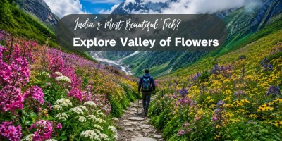 India’s Most Beautiful Trek? Explore Valley of Flowers
